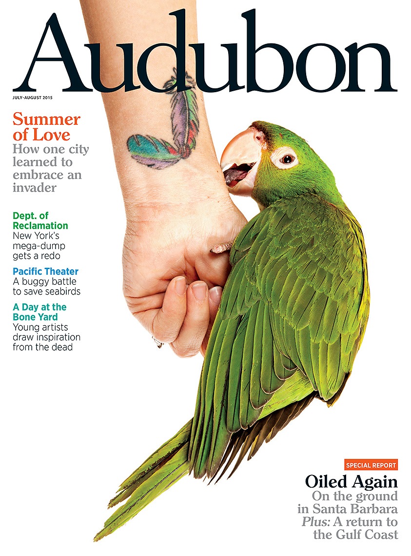 Cover_Audubon