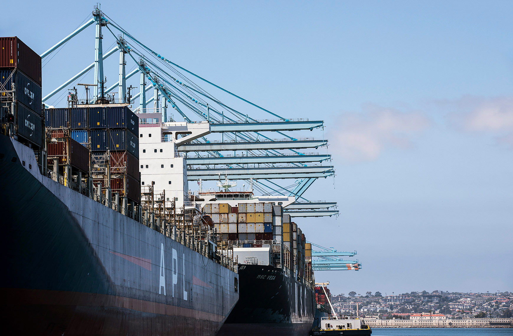 SHIPPING_fowlks_16