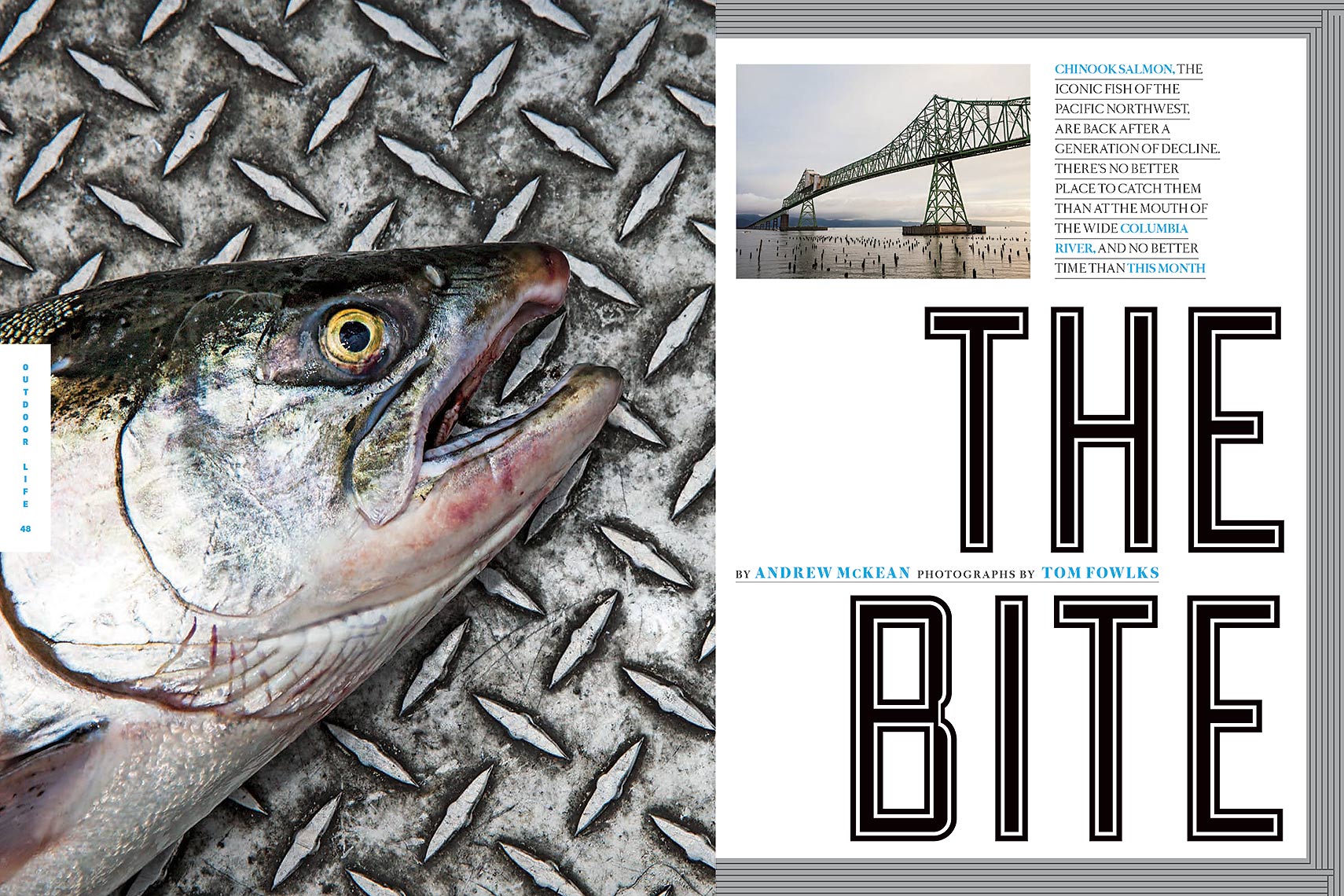 Salmon_01